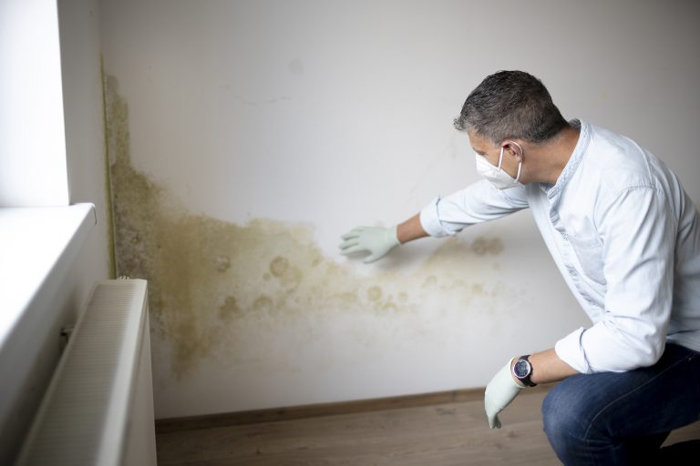 rising damp northampton